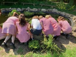 children at their newly restored and much loved pond children at their newly restored and much loved pond