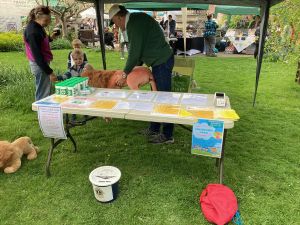 chikdren saying hello to the lion chikdren saying hello to the lion